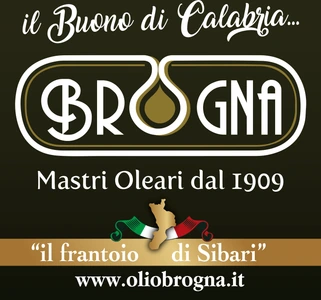 Olearia Sibaritide — Brogna